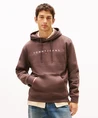 Tommy Jeans Hoodie Linear Logo