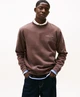 Tommy Jeans Sweater Linear