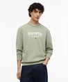 Tommy Jeans Trui Graphic