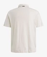 Vanguard Polo Wavy